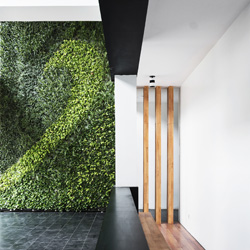 Green Living Wall Interior Landscape Plants