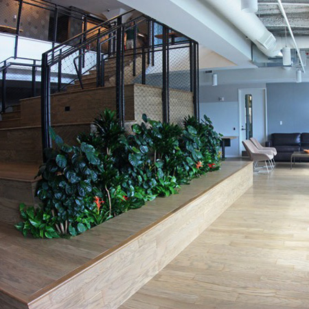Interior Foliage Company Seattle Washington Office Plant Care