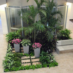 Sherrariums Interior Landscapes Houston Texas