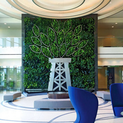 Texas Tropicals Houston Texas Interior Landscaping